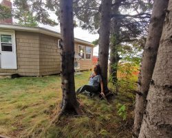 bain de foret_forest bathing